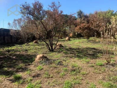 Lote/Terreno à venda, 2500m² no Cidade Satélite Íris, Campinas