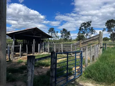 Fazenda/Sítio com 4 Quartos à venda, 53000m² no Centro, Curvelo