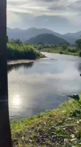 Lote/Terreno à venda, 1000000m² no , Guaraqueçaba