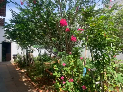 Casa com 3 Quartos à venda, 157m² no Vila Jardim São Judas Tadeu, Goiânia
