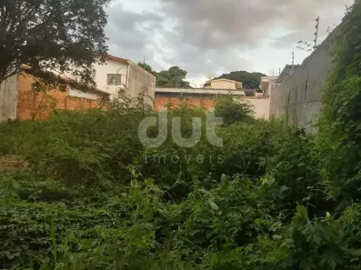 Lote/Terreno à venda, 336m² no Chácara da Barra, Campinas