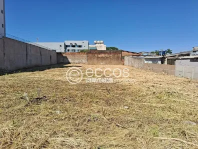 Lote/Terreno à venda, 900m² no Osvaldo Rezende, Uberlândia