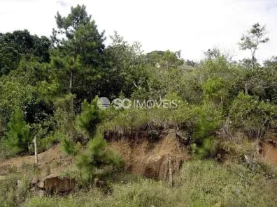Lote/Terreno à venda, 20341m² no Vargem Grande, Florianópolis