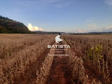 Fazenda/Sítio com 3 Quartos à venda, 50000m² no Zona Rural, Santa Tereza do Tocantins