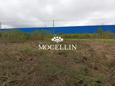Lote/Terreno à venda, 558m² no Roseira de São Sebastião, São José dos Pinhais