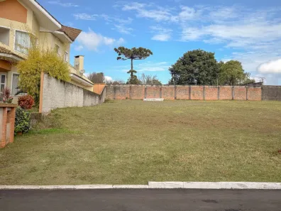 Lote/Terreno à venda, 497m² no Colônia Dona Luíza, Ponta Grossa