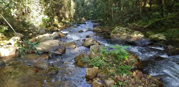 Fazenda/Sítio com 2 Quartos à venda, 238612m² no , Silveiras