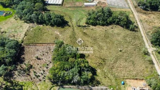 Imóvel Comercial à venda, 23000m² no , Flores da Cunha