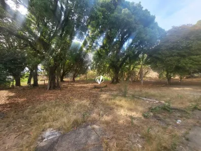 Lote/Terreno para alugar, 3364m² no Maria Áurea, Pindamonhangaba