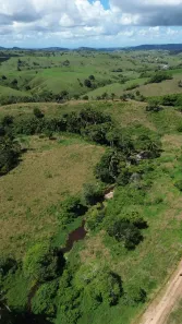 Fazenda/Sítio à venda, 350000m² no , Pindoba