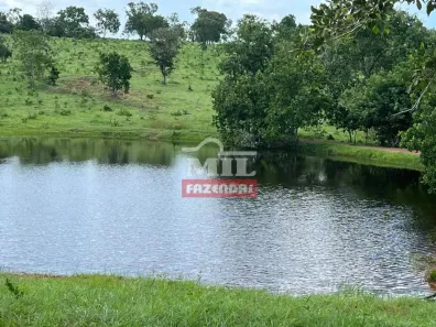 Fazenda/Sítio à venda, 500m² no , Pontal do Araguaia