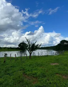 Fazenda/Sítio à venda, 700000m² no , Pedra Lavrada