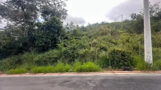 Lote/Terreno à venda, 423m² no Salvaterra, Juiz de Fora