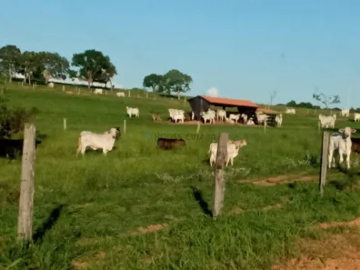 com 3 Quartos à venda, 250m² no , Itiquira