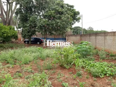 Fazenda/Sítio com 3 Quartos à venda, 180m² no Parque Residencial das Andorinhas, Cosmópolis