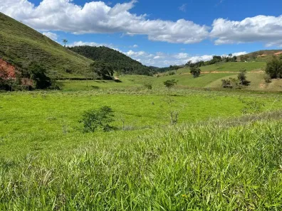 Fazenda/Sítio à venda, 20000m² no Zona Rural, Bananal