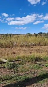 Lote/Terreno à venda, 40506m² no Vila Hollândia, Campinas