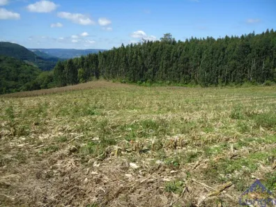 Fazenda/Sítio com 1 Quarto à venda, 166594m² no Galópolis, Caxias do Sul
