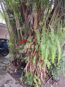 Rua Eduardo Alves — foto 1 de 1
