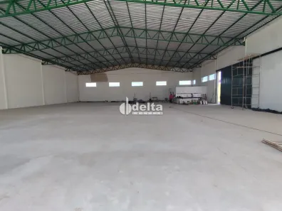 Ponto Comercial para alugar, 1500m² no Tibery, Uberlândia