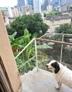 Apartamento com 4 Quartos à venda, 45m² no Santa Teresa, Rio de Janeiro