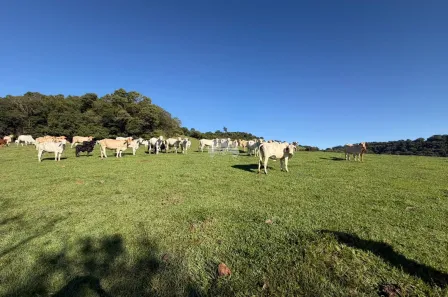 Lote/Terreno à venda, 580800m² no , Itapejara d'Oeste