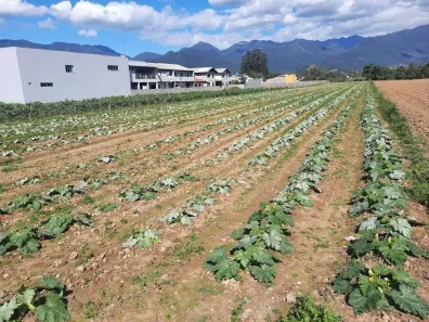 Lote/Terreno à venda, 11000m² no São Francisco, Santo Amaro da Imperatriz