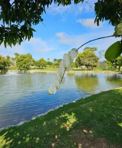 Lote/Terreno à venda, 540m² no Itapecirica, Taubaté