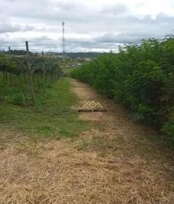 Lote/Terreno à venda, 14000m² no Rio Abaixo, Jundiaí