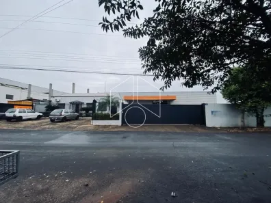Galpão/Depósito/Armazém para alugar, 1600m² no Centro (Lácio), Marília