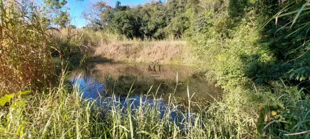 Lote/Terreno à venda, 5000m² no Lichtenthal, Picada Café