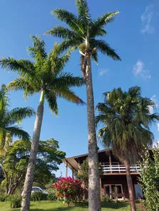 Fazenda/Sítio com 6 Quartos à venda, 116000m² no Pavão (Canguera), São Roque