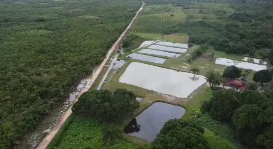 Fazenda/Sítio com 3 Quartos à venda, 350000m² no , Morros