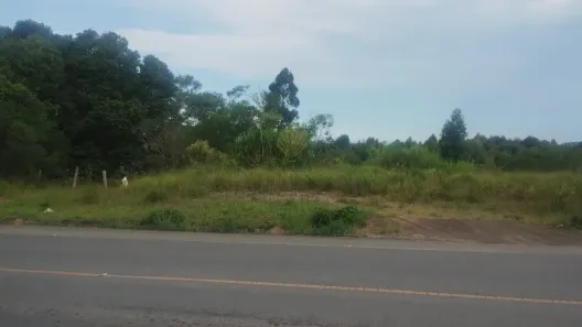 Lote/Terreno com 1 Quarto à venda, 29040m² no Cachoeira, São José dos Pinhais