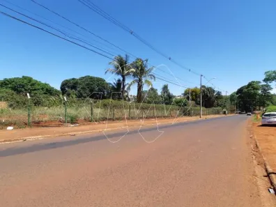 Fazenda/Sítio com 4 Quartos à venda, 12669m² no Centro, Araraquara