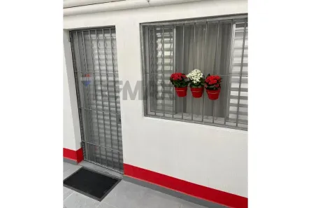 Kitnet com 1 Quarto para alugar, 20m² no Vila Indiana, São Paulo