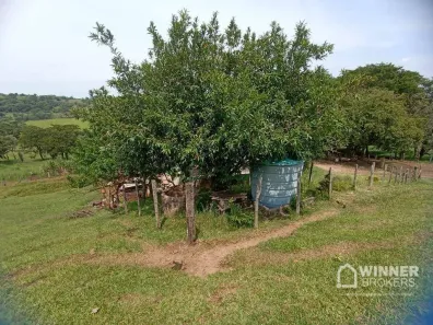 Fazenda/Sítio à venda, 302500m² no , Assaí