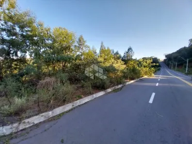 Lote/Terreno à venda, 780m² no Santo Antão, Bento Gonçalves