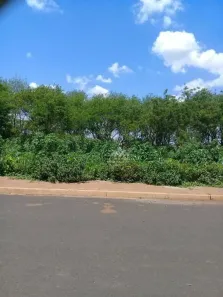 Lote/Terreno à venda, 450m² no Vila Elisa, Ribeirão Preto