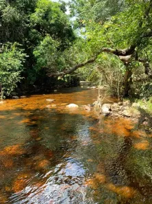 Fazenda/Sítio com 2 Quartos à venda, 10000m² no , Jaboticatubas