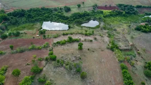 Fazenda/Sítio à venda, 244000m² no , Nova Veneza