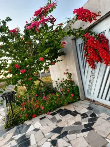 Casa com 3 Quartos à venda, 280m² no Centro, Luziânia