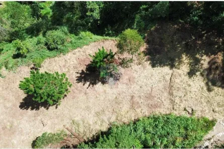 Lote/Terreno à venda, 1574m² no Mury, Nova Friburgo