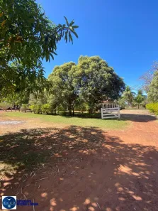 Fazenda/Sítio com 4 Quartos à venda, 217m² no Setor Central, Mundo Novo