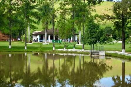 Fazenda/Sítio com 11 Quartos à venda, 1000m² no , Areias
