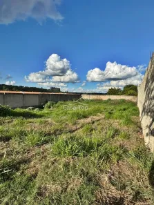 Lote/Terreno à venda, 480m² no Jardim Carvalho, Ponta Grossa