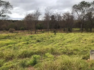 Lote/Terreno à venda, 1000m² no , Jequitibá