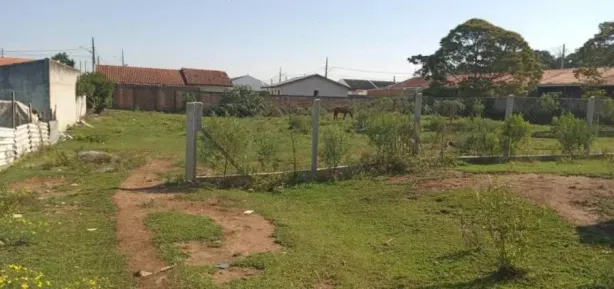 Lote/Terreno à venda, 6050m² no Campo Largo da Roseira, São José dos Pinhais