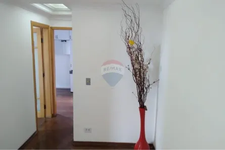 Apartamento com 2 Quartos para alugar, 55m² no Vila Mangalot, São Paulo