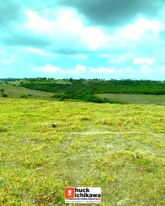 Fazenda/Sítio à venda, 3025000m² no Centro, Umbaúba